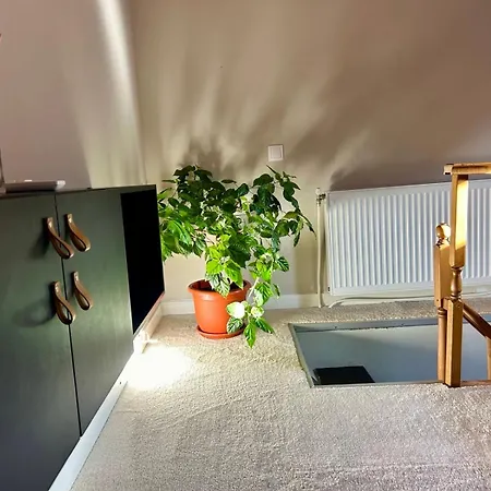 Altidude Ultra - Free Private Parking Κλουζ-Ναπόκα