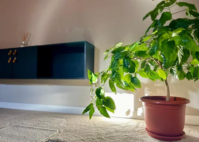 Apartahotel Altidude Ultra - Free Private Parking