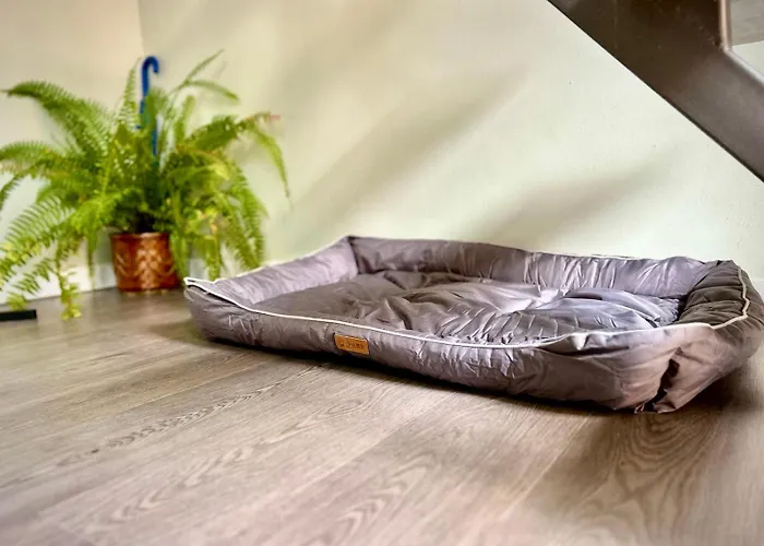 Apartahotel Altidude Ultra - Free Private Parking